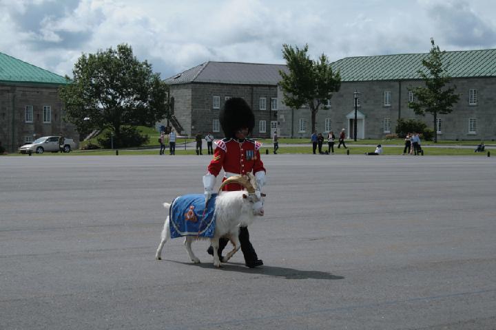 Citadelle 010.JPG
